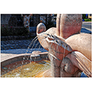 Papp Imre fot�k