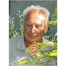 Papp Imre fot�k