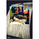 Papp Imre fot�k