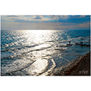 Papp Imre fot�k