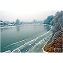 Papp Imre fot�k