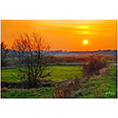 Papp Imre fot�k